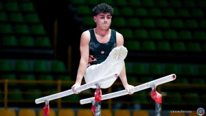 serie b 0654 simone ferraro ph